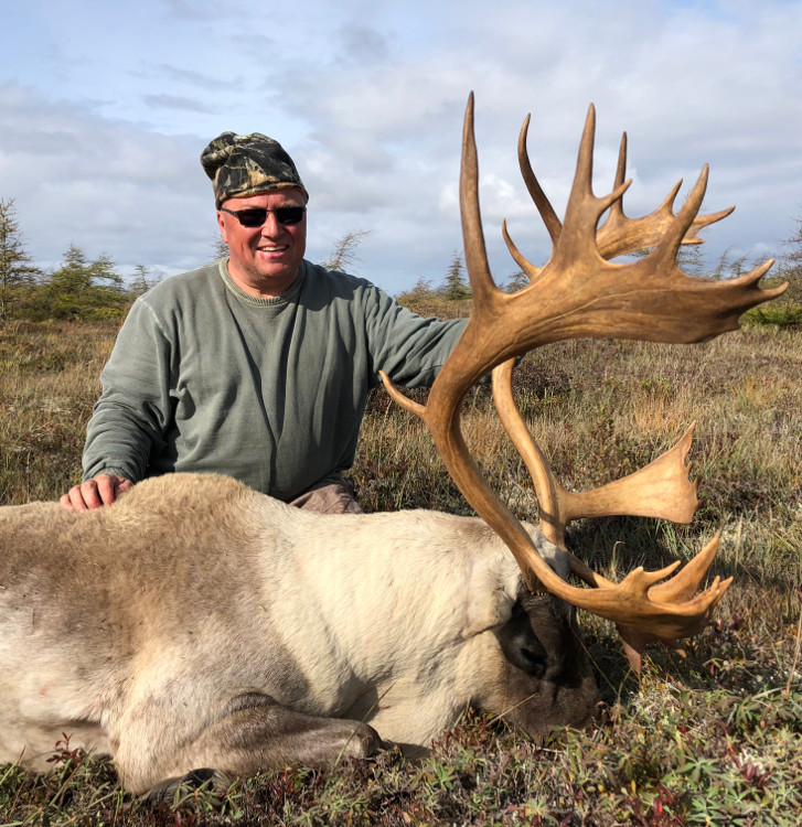 Woodland Caribou, Newfoundland Canada, Deep Country Lodge