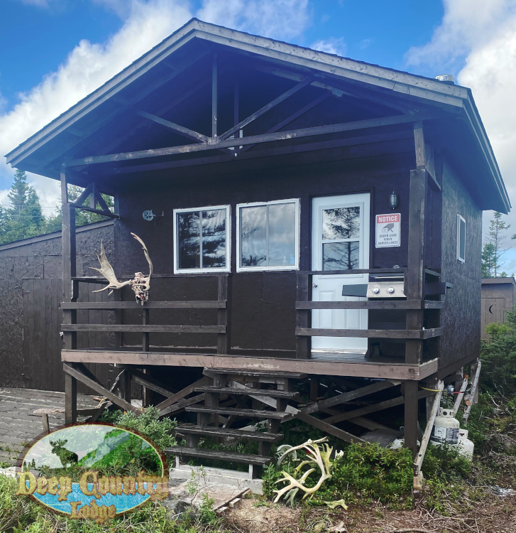 Woodland Caribou, Newfoundland Canada, Deep Country Lodge