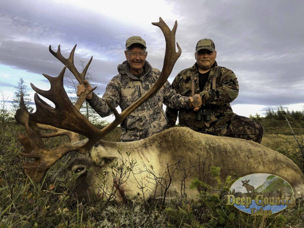 Woodland Caribou, Newfoundland Canada, Deep Country Lodge