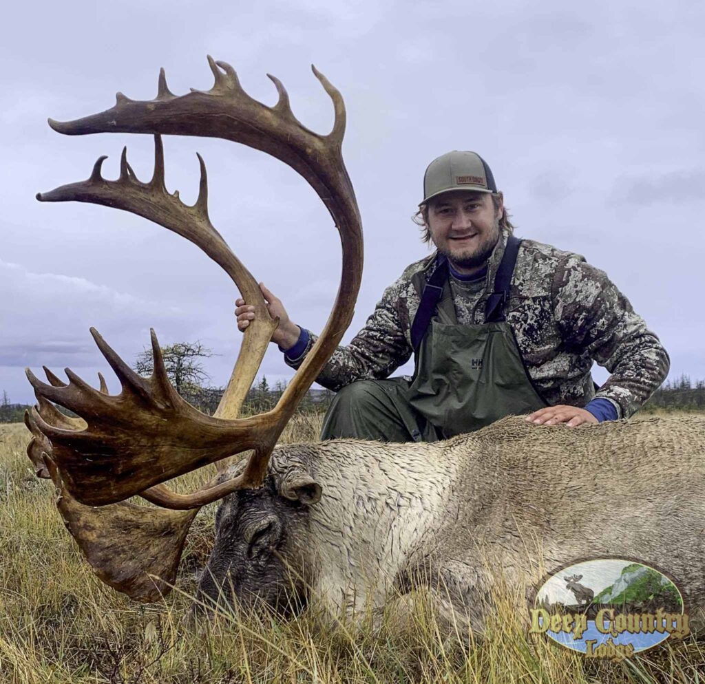 Woodland Caribou, Newfoundland Canada, Deep Country Lodge