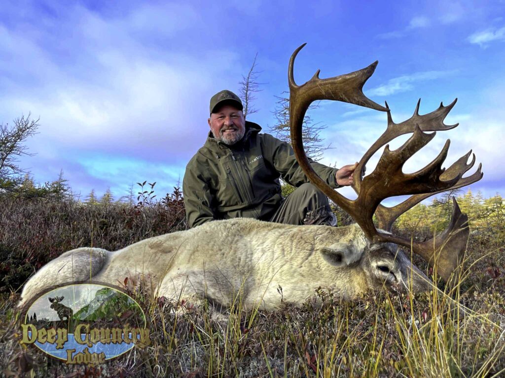 Woodland Caribou, Newfoundland Canada, Deep Country Lodge