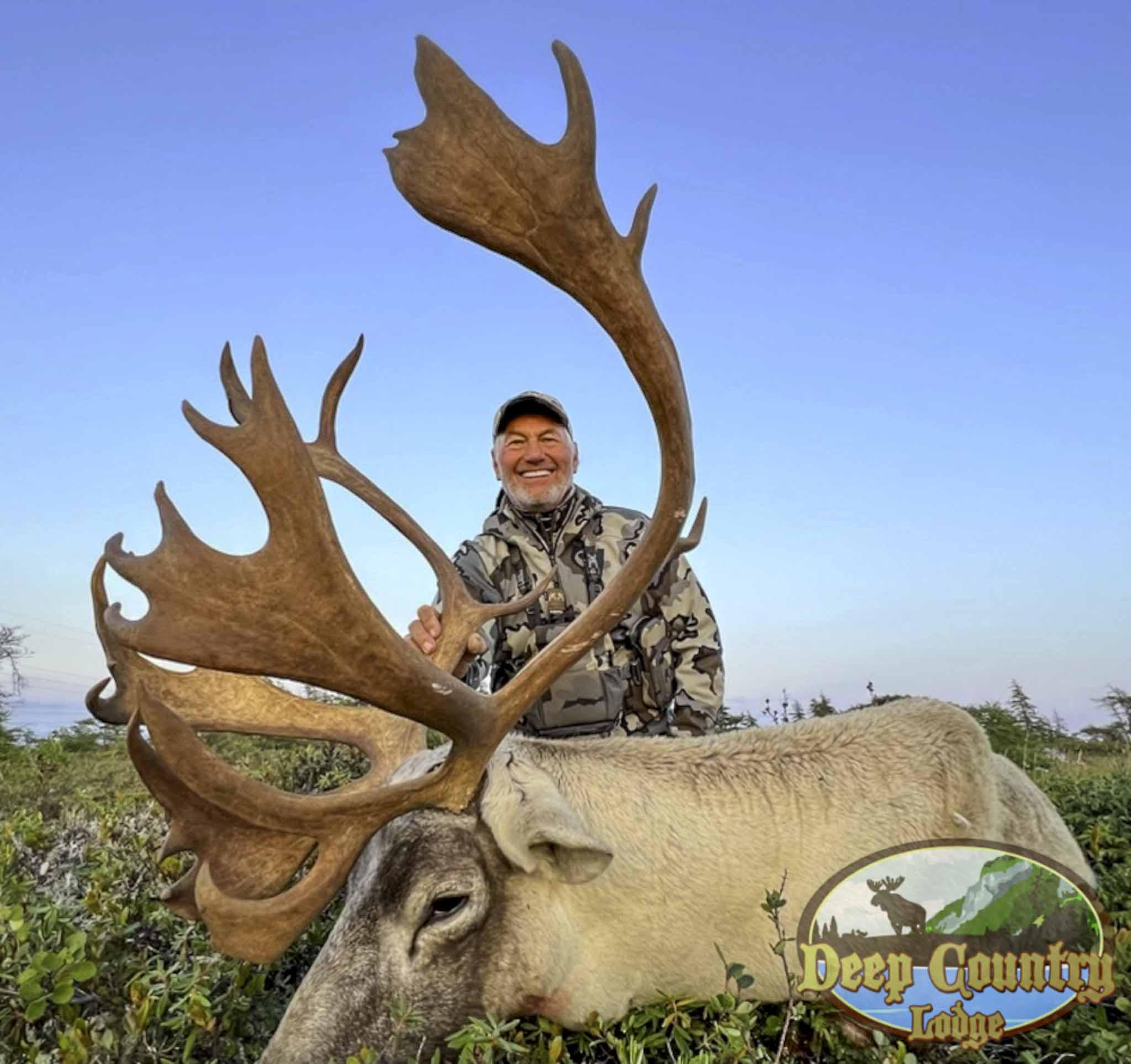 Woodland Caribou, Newfoundland Canada, Deep Country Lodge