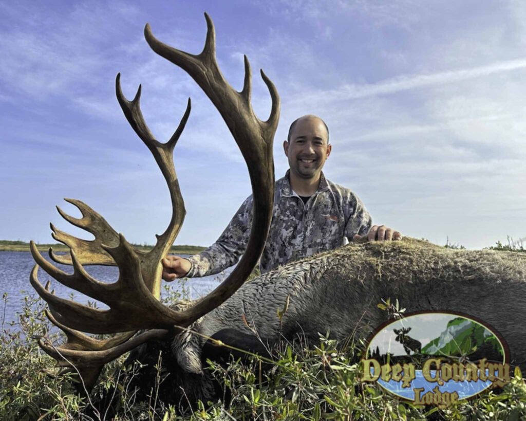 Woodland Caribou, Newfoundland Canada, Deep Country Lodge