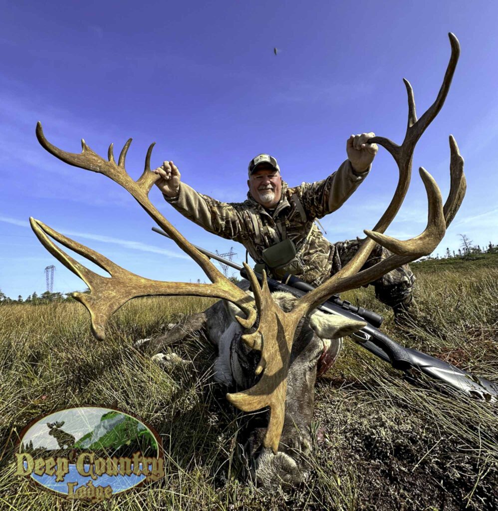 Woodland Caribou, Newfoundland Canada, Deep Country Lodge