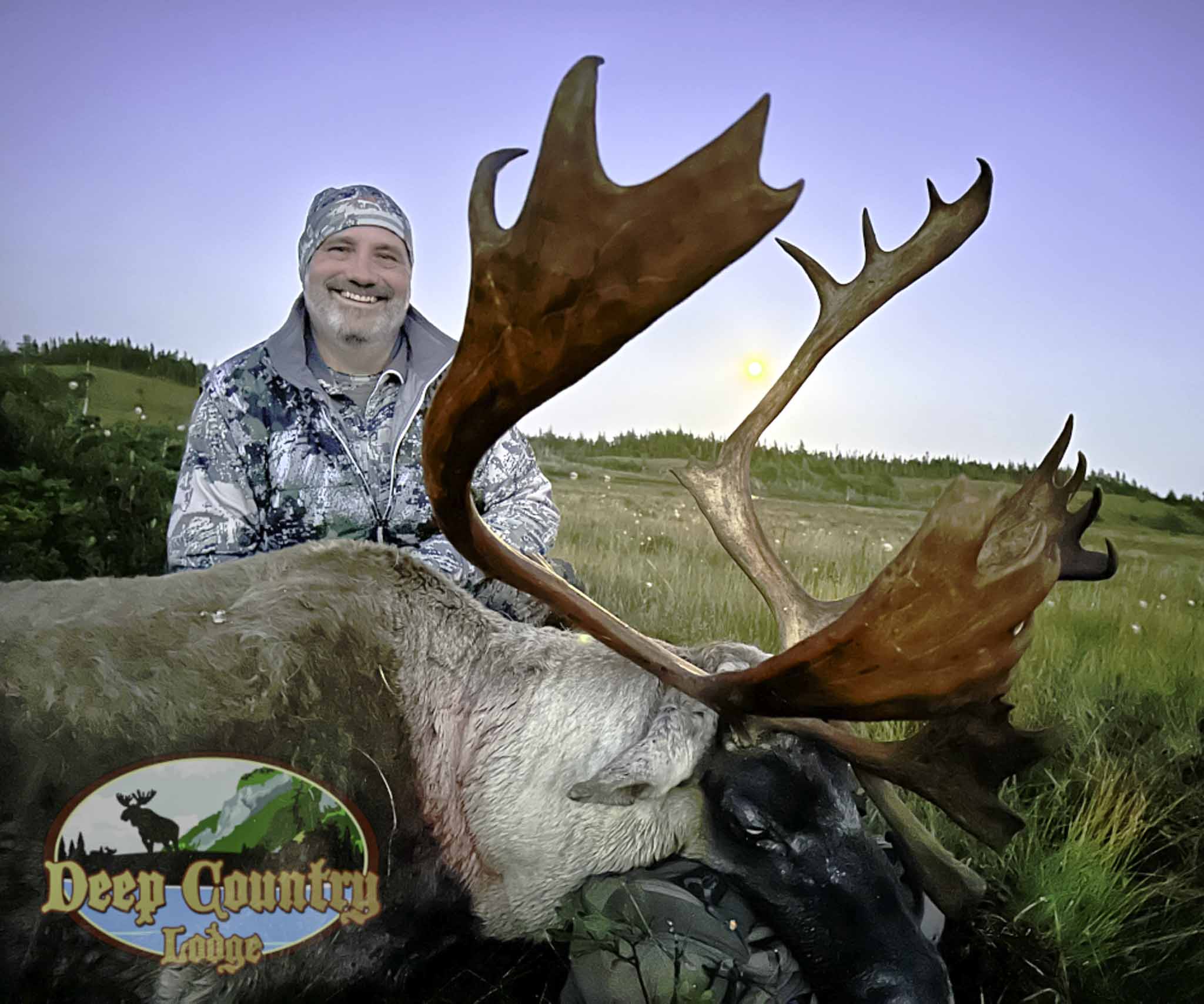 Woodland Caribou, Newfoundland Canada, Deep Country Lodge