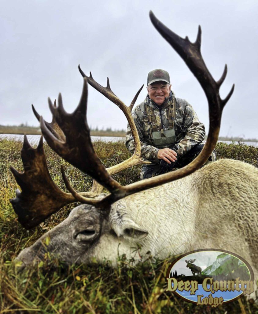 Woodland Caribou, Newfoundland Canada, Deep Country Lodge