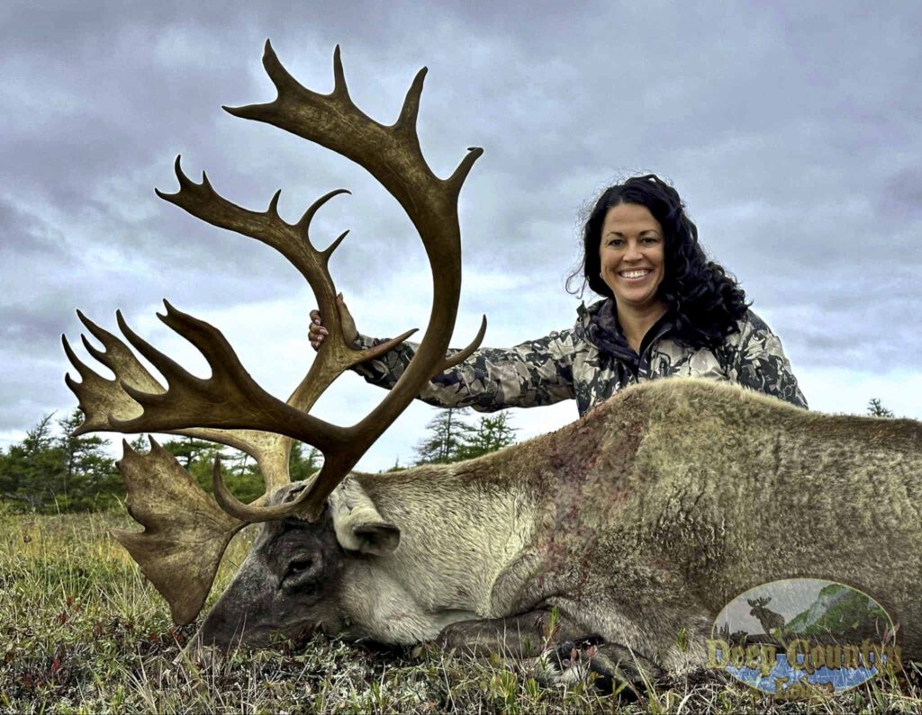 Woodland Caribou, Newfoundland Canada, Deep Country Lodge