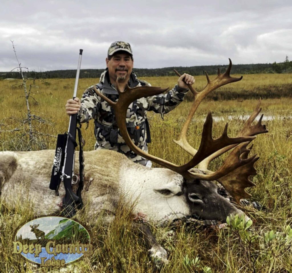 Woodland Caribou, Newfoundland Canada, Deep Country Lodge