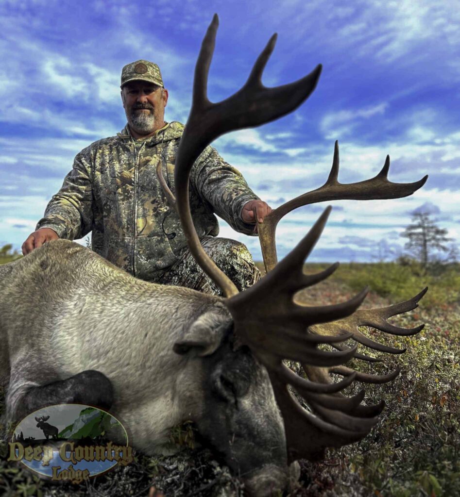 Woodland Caribou, Newfoundland Canada, Deep Country Lodge