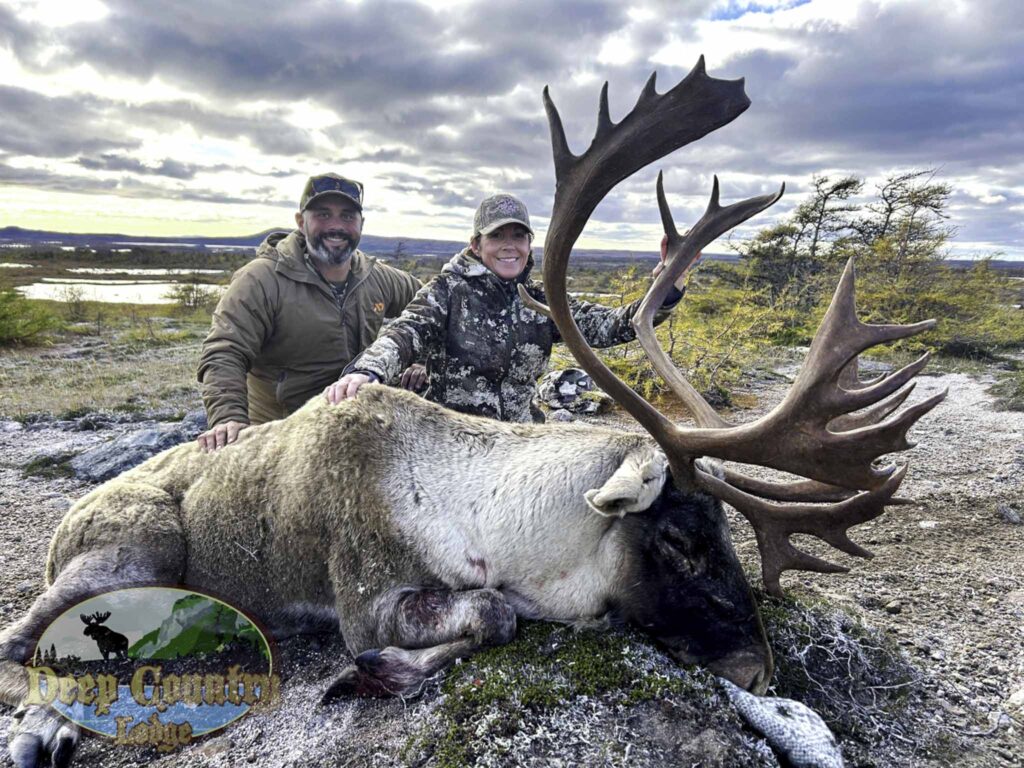 Woodland Caribou, Newfoundland Canada, Deep Country Lodge