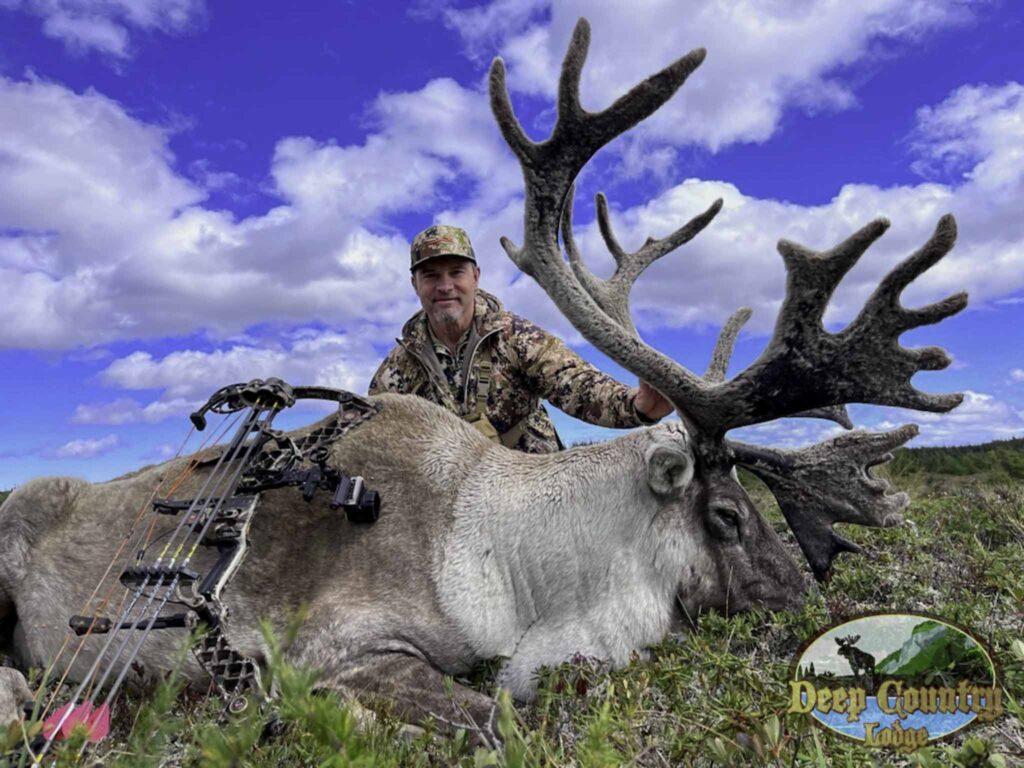 Woodland Caribou, Newfoundland Canada, Deep Country Lodge