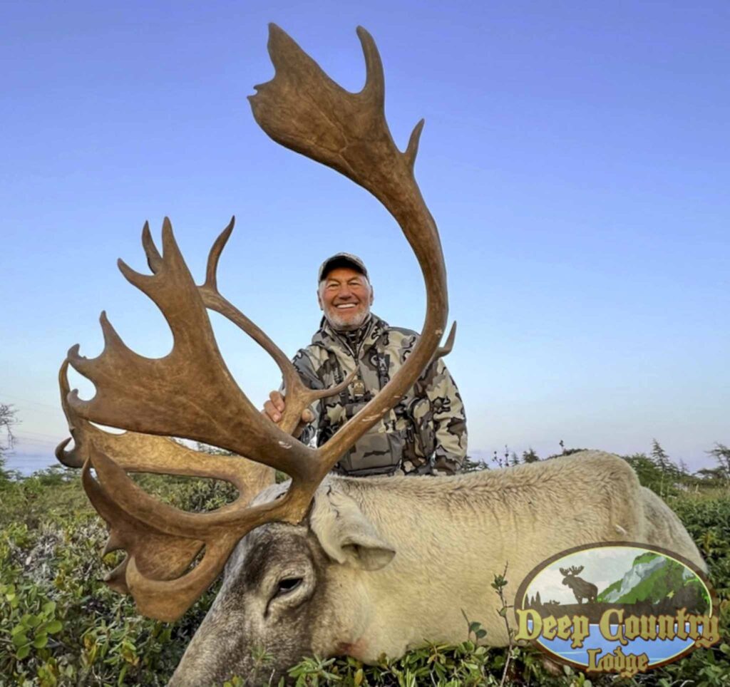 Woodland Caribou, Newfoundland Canada, Deep Country Lodge