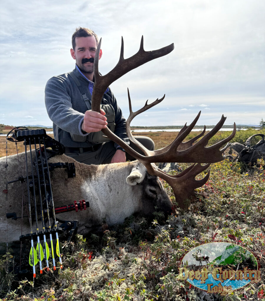 Woodland Caribou, Newfoundland Canada, Deep Country Lodge