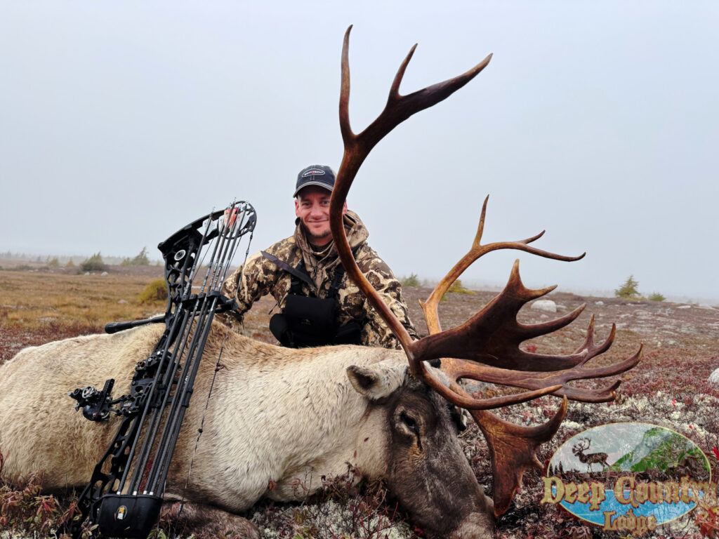 Woodland Caribou, Newfoundland Canada, Deep Country Lodge