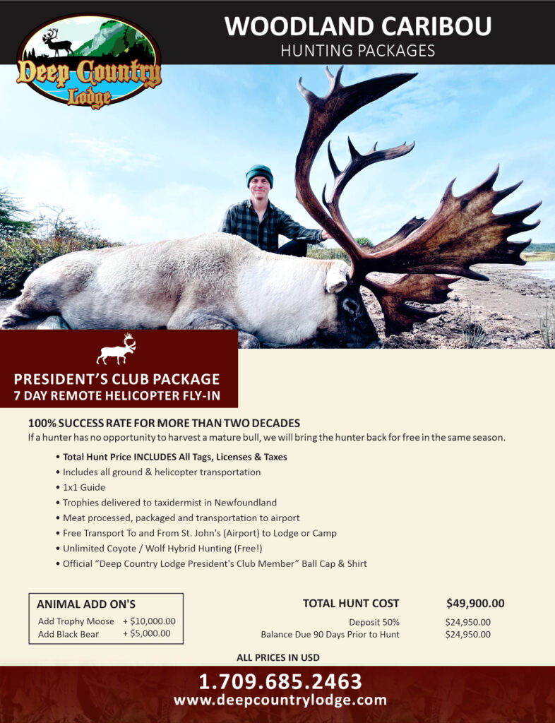 Promotional poster for Deep Country Lodge: hunter beside a large moose carcass with massive antlers, banner reads Woodland Caribou Hunting Packages.